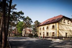 Jeleń